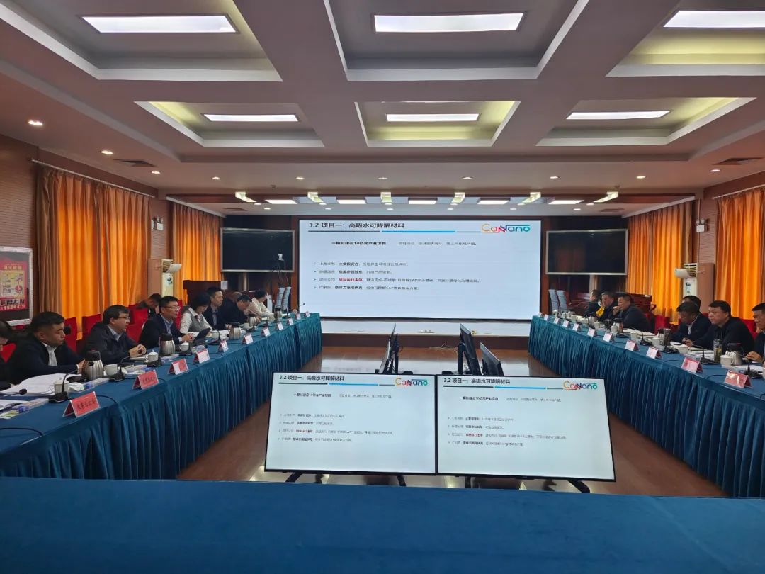 自治区科技厅与广东粤港澳大湾区国家纳米科技创新研究院交流座谈会召开